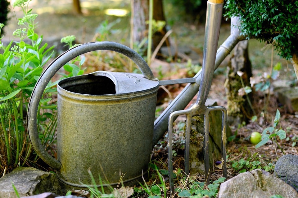 Outils indispensables pour jardiner efficacement