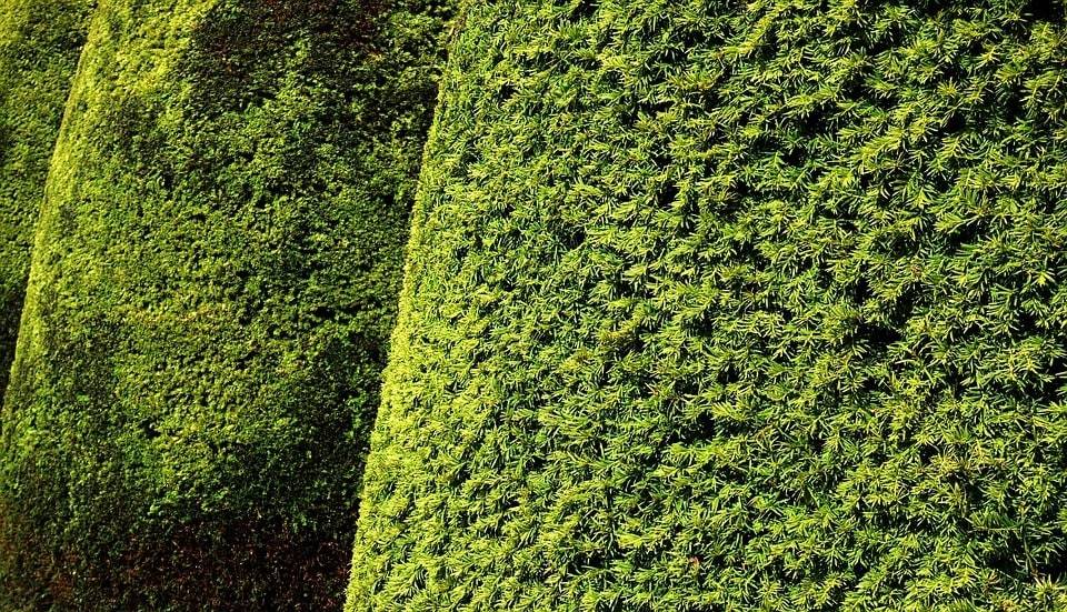 Pourquoi faire appel à un paysagiste pour créer son jardin ?