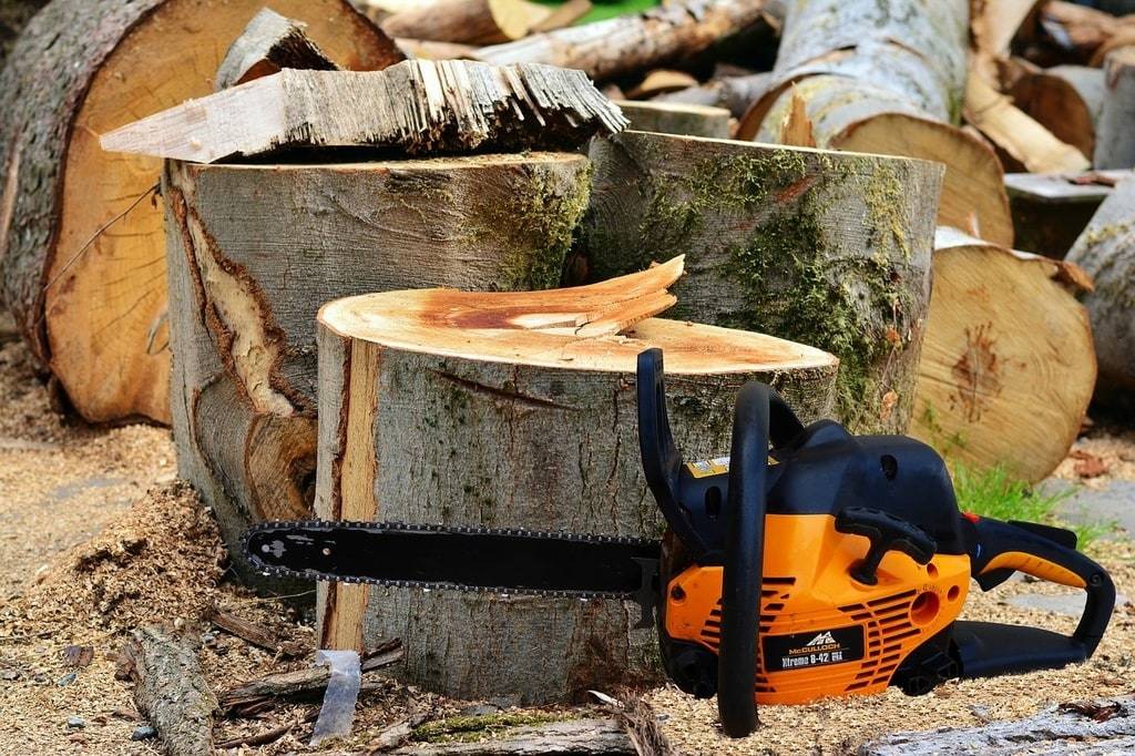Elagage en Haute-Vienne : pourquoi déléguer cette tâche ?